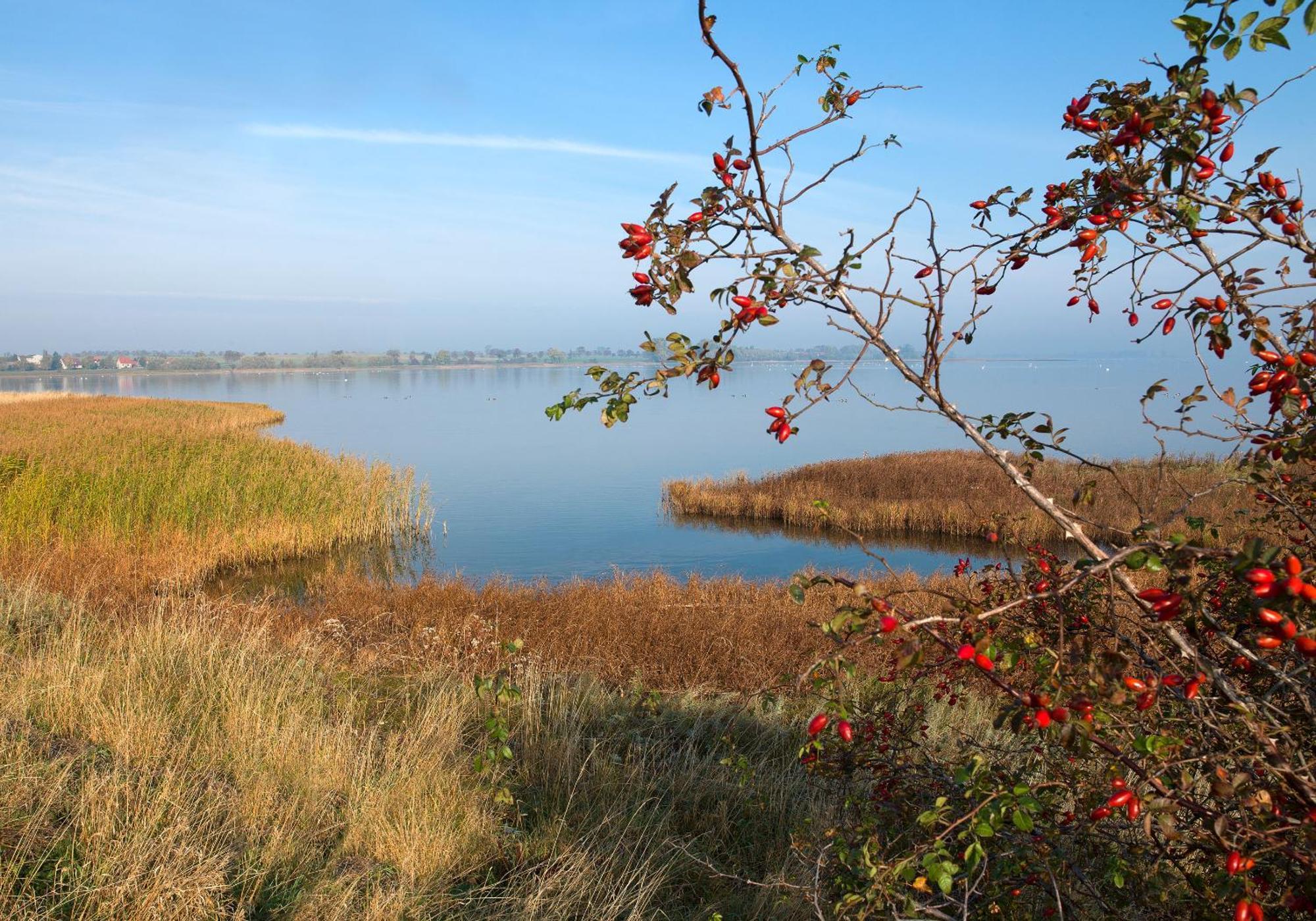 Ferienwohnungen Am Lotsenstieg Abendrot Poel Exterior foto